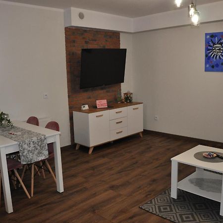 Malinowka Izerska II Apartment Świeradów-Zdrój Екстериор снимка